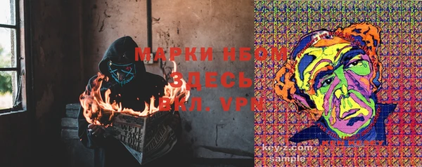 дурь Новодвинск