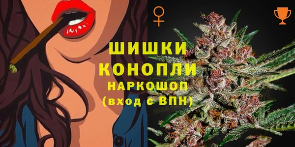 jwh Новозыбков