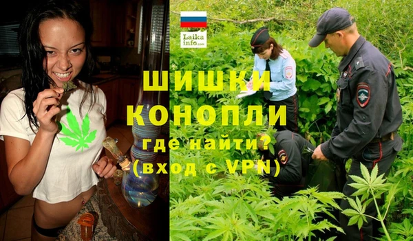 дурь Новодвинск