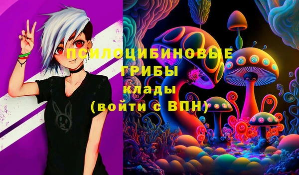 jwh Новозыбков