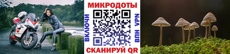 Псилоцибиновые грибы прущие грибы  Купить закладки  Южно-Сухокумск 